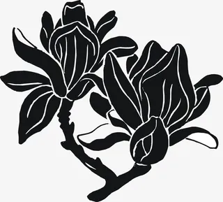 黑色创意美丽玉兰花免抠