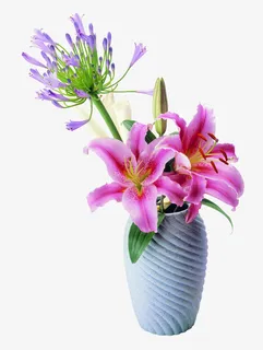 古风配饰饰品图片免抠