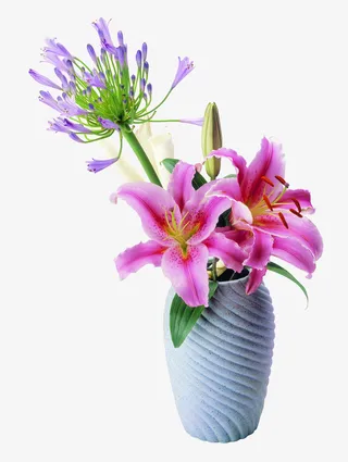 古风配饰饰品图片免抠