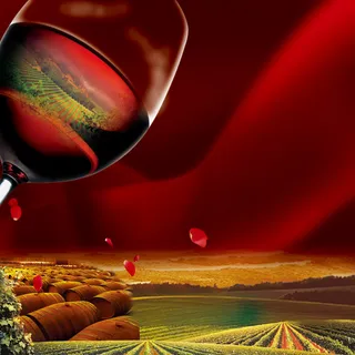 大气花瓣红酒主图高清