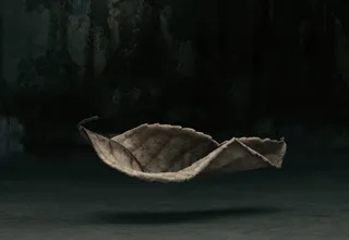 枯叶悬浮高清素材免抠