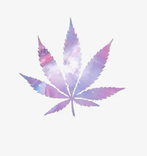 星空叶片免抠