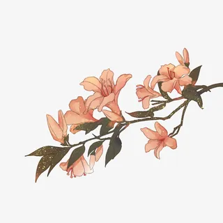 清新小花卡通插画14免抠手绘/卡通手绘元素 清新小花卡通插画14免抠手绘/卡通手绘元素