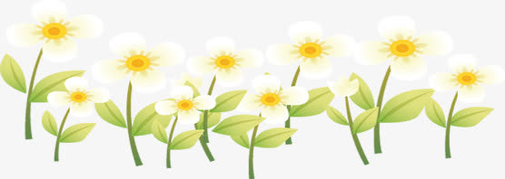 春天卡通白色花朵免抠