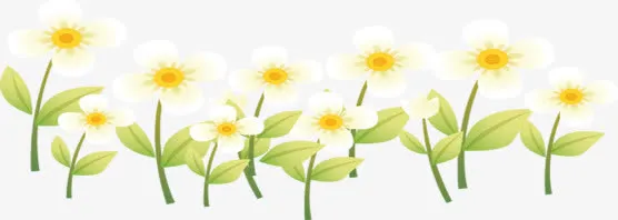 春天卡通白色花朵免抠