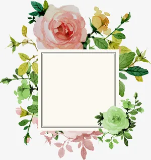花卉边框免抠