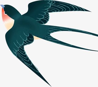 来自春天的飞鸟免抠