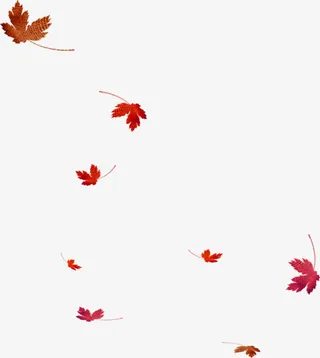 漂浮的枫叶免抠