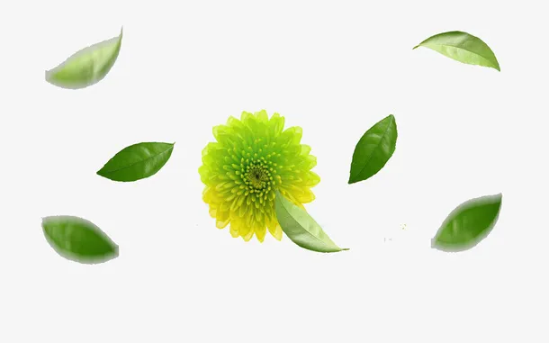 漂浮花朵叶子免抠
