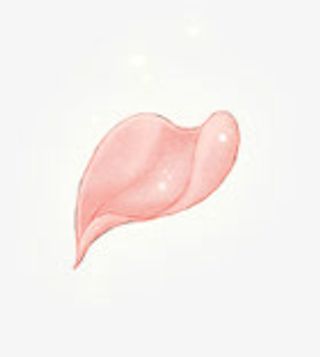 粉红花瓣发光免抠