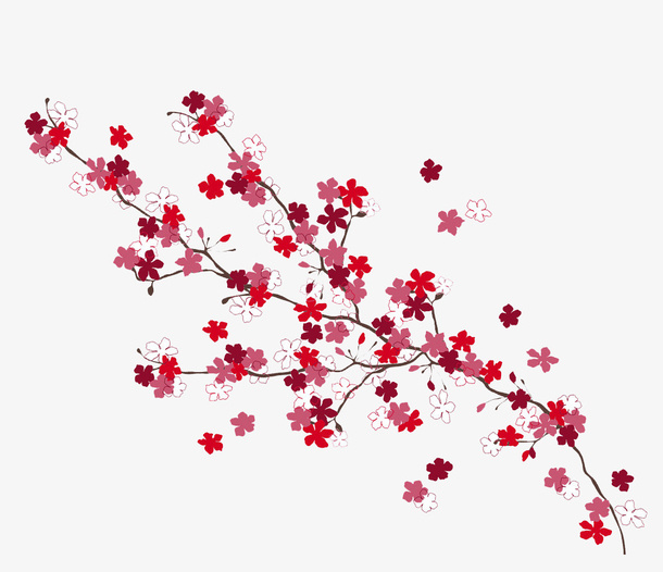梅花免抠