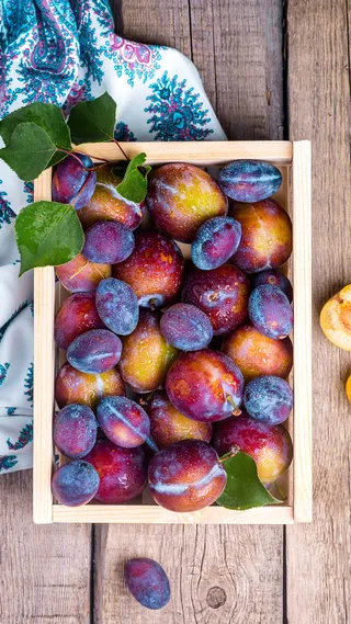 夏季李子俯拍H5背景素材高清