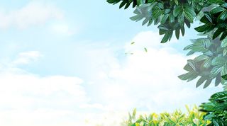 春游高清