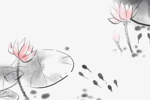 清新淡雅插图水墨中国画荷塘荷花免抠