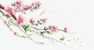 手绘桃花素材免抠