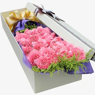 粉色康乃馨免抠