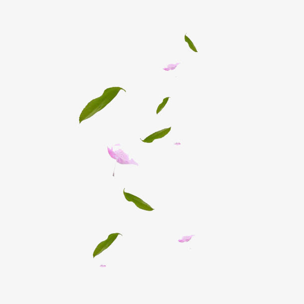 叶子和桃花漂浮素材免抠
