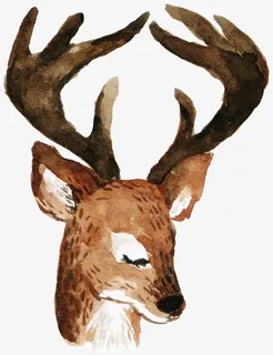 卡通可爱小动物装饰动物头像免抠