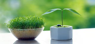 淘宝背景图高清