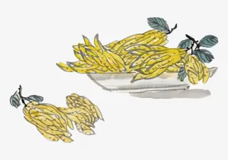 盘子里的鹅黄色佛手瓜国画免抠