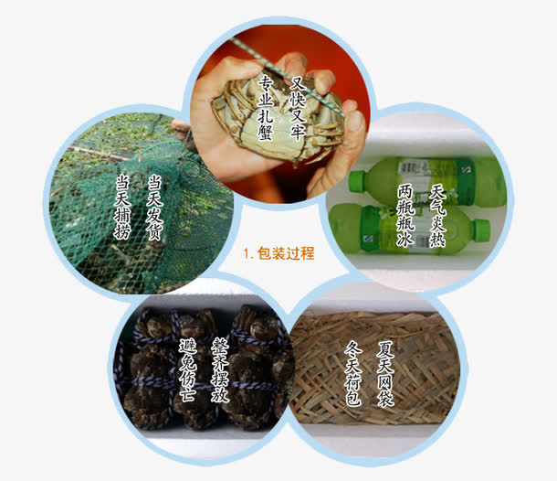 大闸蟹详情页图片免抠
