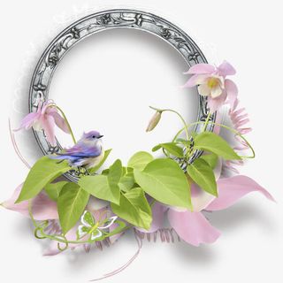 花边框 花边花纹免抠