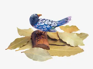 枯叶里的小鸟免抠