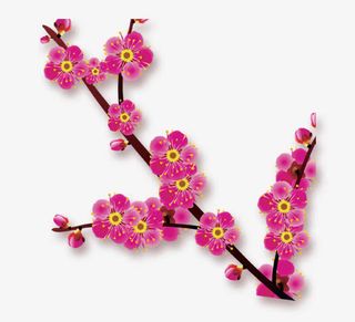 绘画梅花免抠