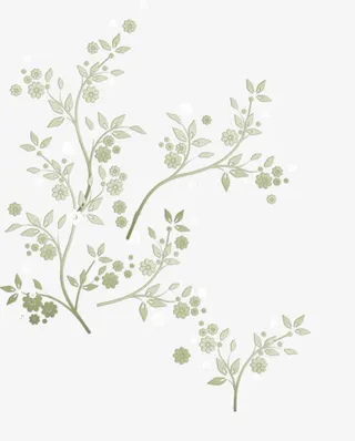 卡通手绘曲线艺术树枝免抠