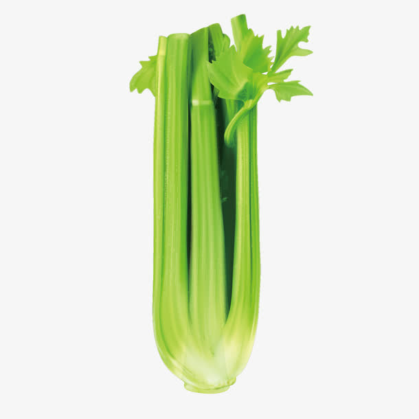矢量绿色芹菜免抠