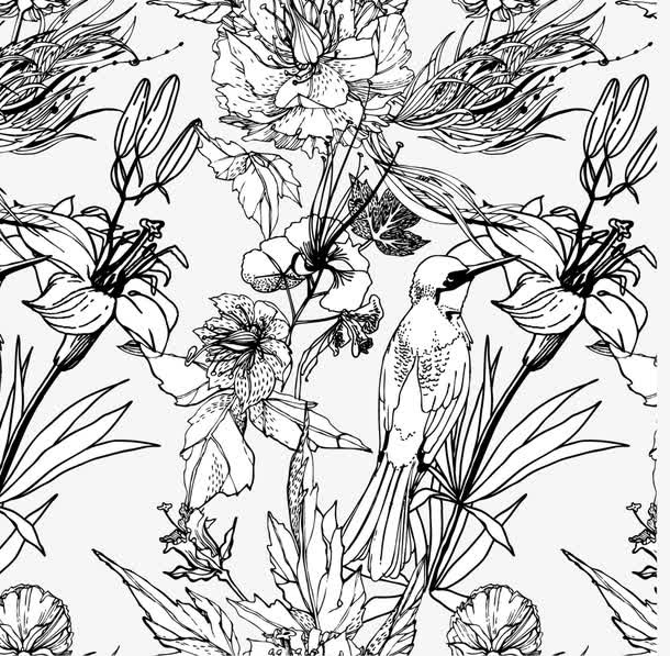 黑白手绘花鸟设计矢量素材免抠