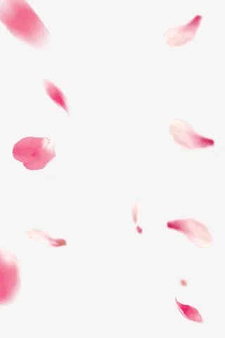 漂浮的花瓣免抠