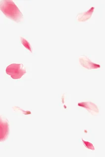 漂浮的花瓣免抠 漂浮的花瓣免抠