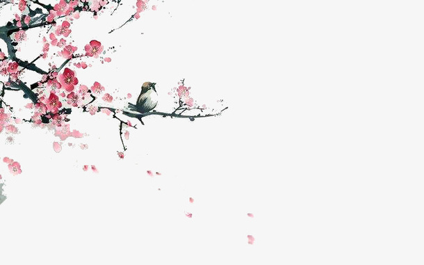 中国风梅花树枝花瓣飘落鸟儿元素免抠