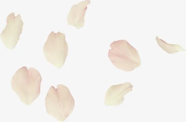 玫瑰花瓣免抠