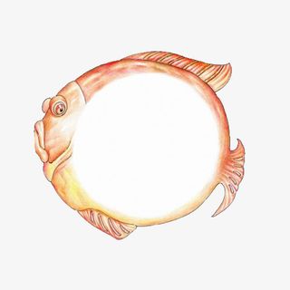鱼形边框免抠