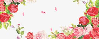 红色情人节玫瑰框架免抠