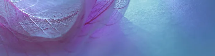 鲜花家具建材零食/进口食品/茶酒厨具/收纳高清