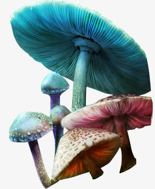 五彩的蘑菇免抠