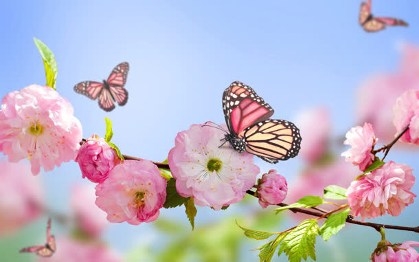 春天希望粉红花朵免抠