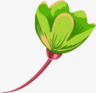 绿色清新时尚春天花朵手绘免抠