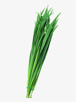 新鲜的韭菜免抠