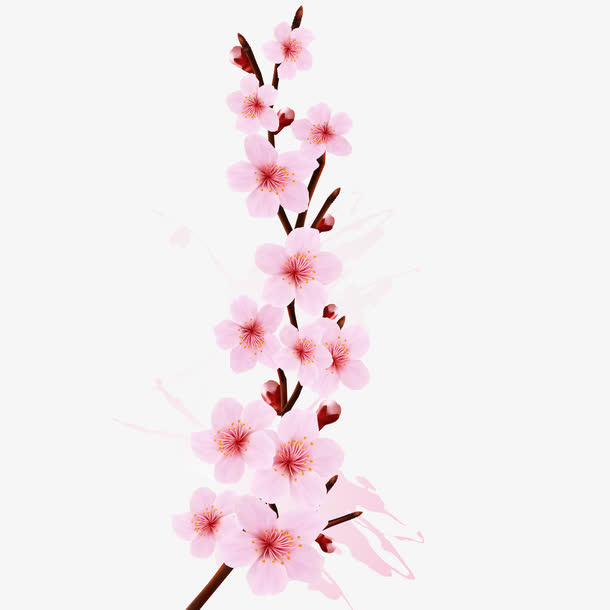 春上新樱花素材矢量图免抠
