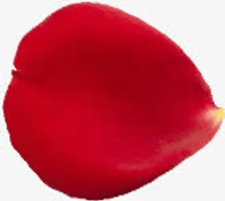 红色花瓣七夕免抠