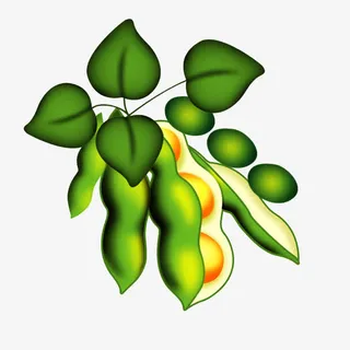 卡通绿色植物免抠