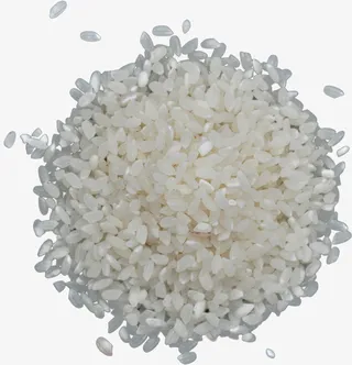 卡通手绘白色的大米免抠