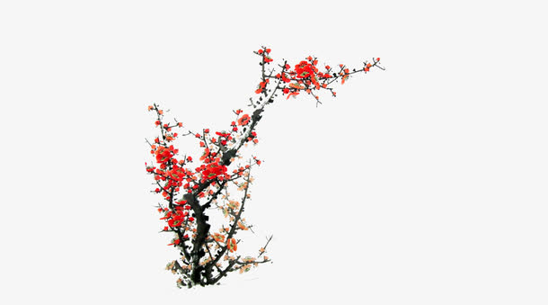 水彩 梅花专辑 中国风免抠