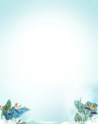 清新唯美手绘热带植物贺卡信纸背景素材高清