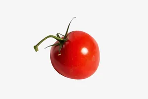 新鲜西红柿果蔬免抠