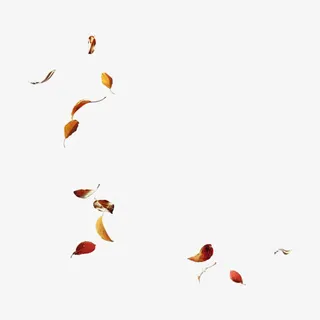 树叶免抠 树叶免抠